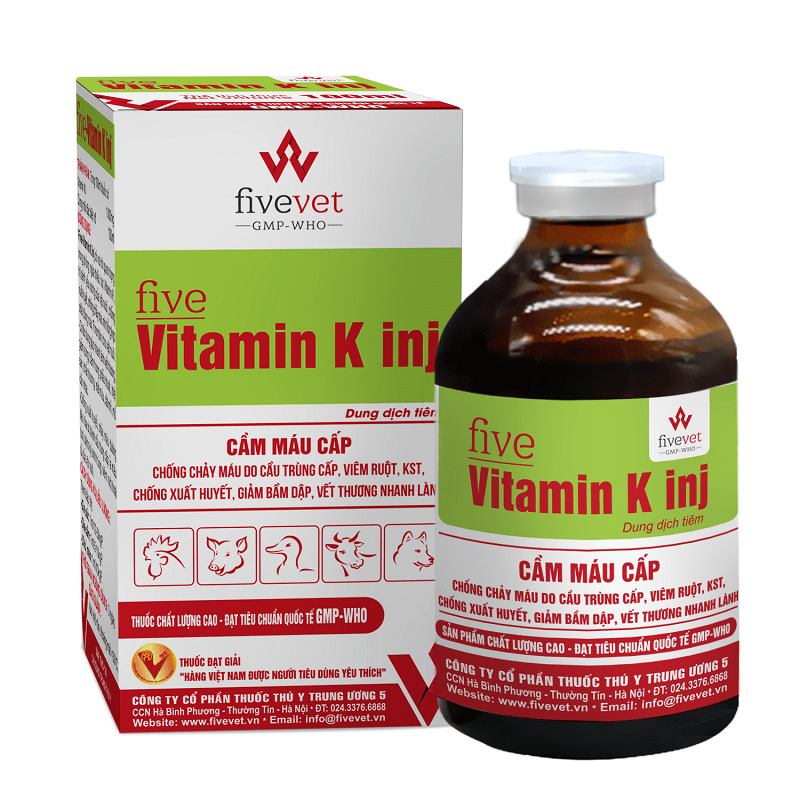 Trong quá trình điều trị bệnh thương hàn gà, chủ chăn nuôi cho vật nuôi dùng vitamin K tăng sức đề kháng